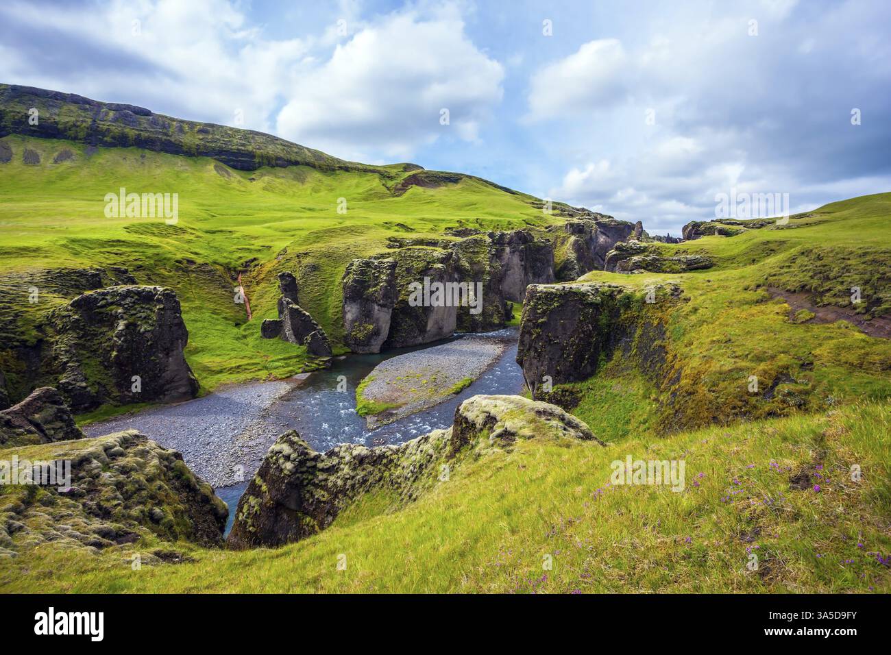Toundra islandaise verte en juillet. Rivière rapide avec l'eau glaciaire coule parmi les falaises. Canyon magique Fyadrarglyufur. Le concept de tourisme nordique actif Banque D'Images