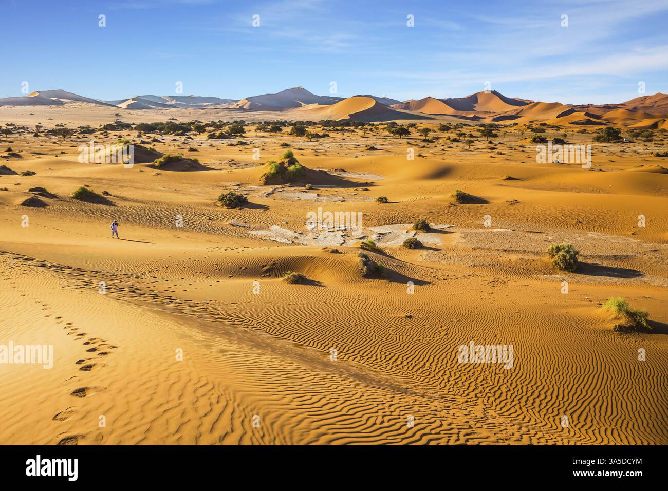 Voyage exotique en Afrique. Vacances en Namibie. Les magnifiques dunes du désert du Namib. Femme avec un appareil photo photographie un paysage pittoresque Banque D'Images