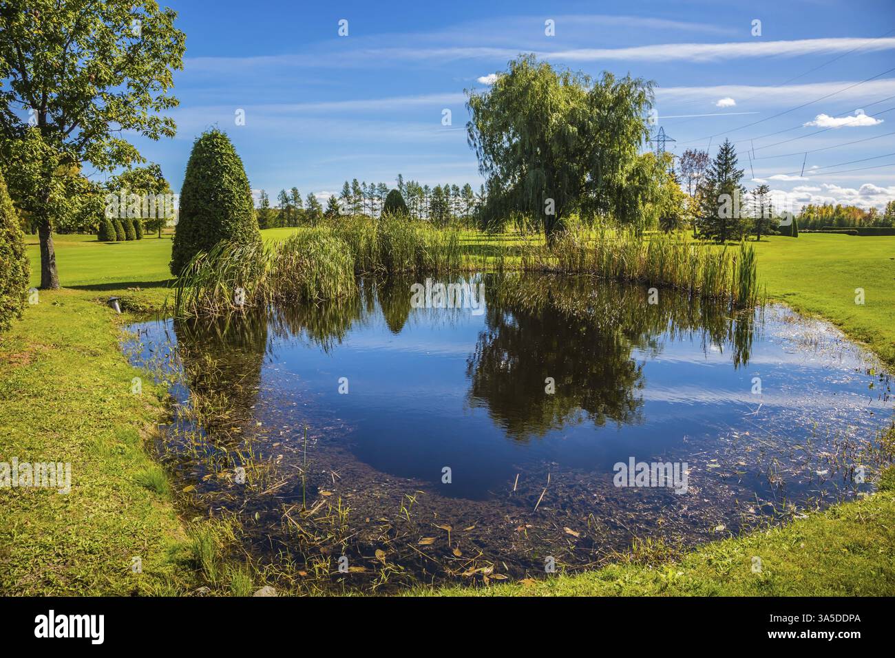Adorable étang ovale dans le magnifique parc. Automne rouge et orange au Canada français. Concept de tourisme récréatif Banque D'Images