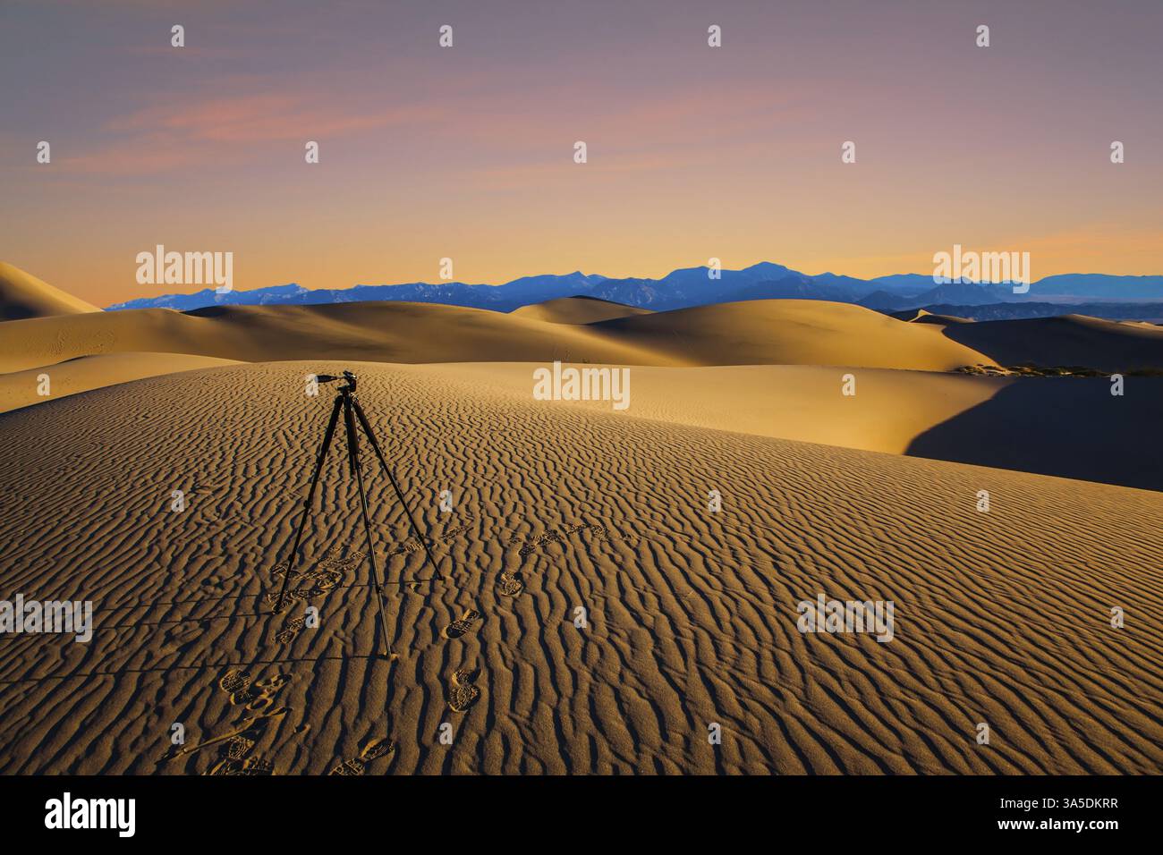 Trépied photographique préparé pour la prise de vue en soirée. ÉTATS-UNIS. Mesquite Flat Sand Dunes, Death Valley, Californie. Vagues de sable légères du vent du désert. WOM Banque D'Images