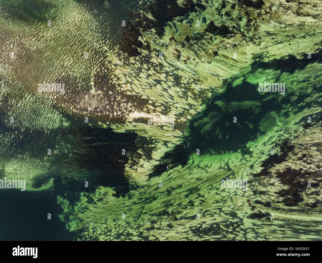 Photographie aérienne, vue de haut en bas des lignes d'écoulement, structures, motifs dans le lit du Rhin, lac de Constance, quartier de Constance, Bade-Wuertt Banque D'Images