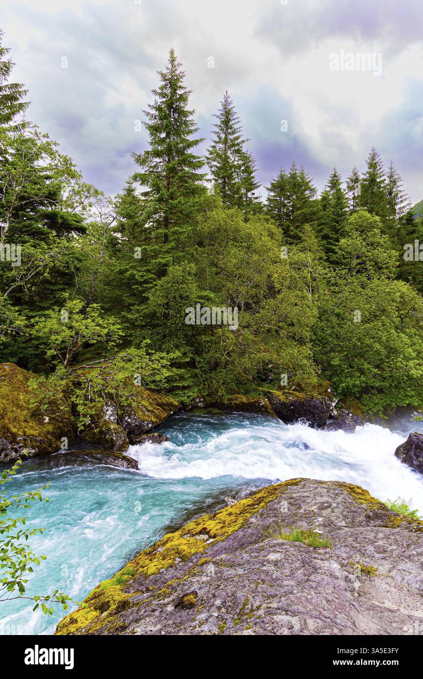 Ruissellement turbulent ruisseau mousseux d'eau froide s'écoulant du lac Bondhuswatnet. Magnifique Norvège. Vert émeraude de l'herbe d'été Banque D'Images