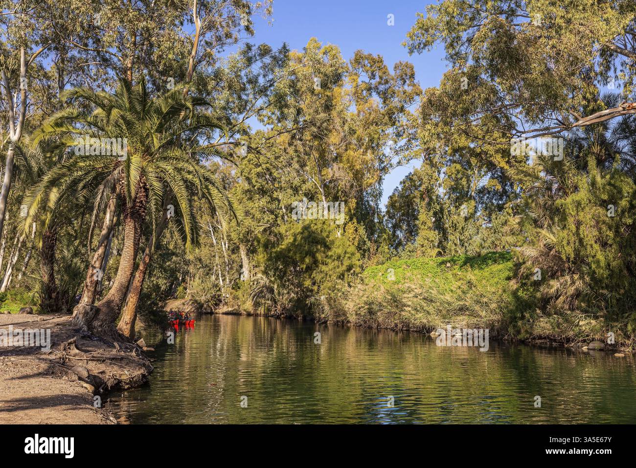 Israël. Le Jourdain est le fleuve le plus célèbre au monde. La Jordanie est le lieu du baptême du Christ. Le beau jour chaud de l'hiver ensoleillé Banque D'Images