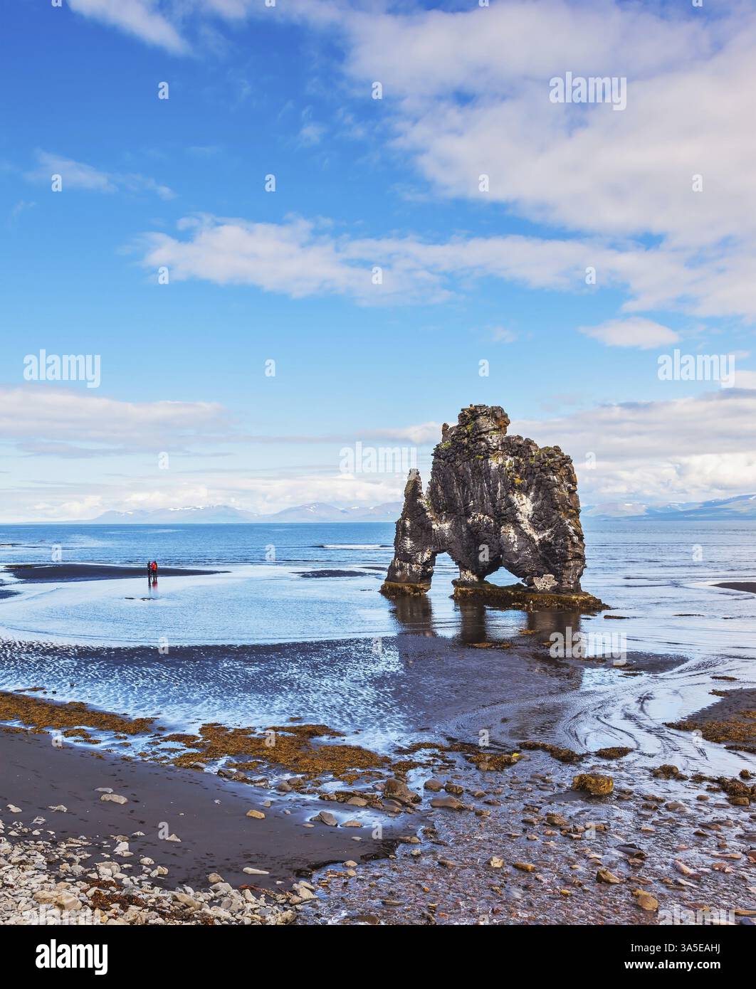 Mammouth en pierre Islande. Vestiges d'un ancien volcan éteint Hvitserkur sur le plateau marin. La falaise pittoresque dans la baie de Huna comme un énorme préhistor Banque D'Images
