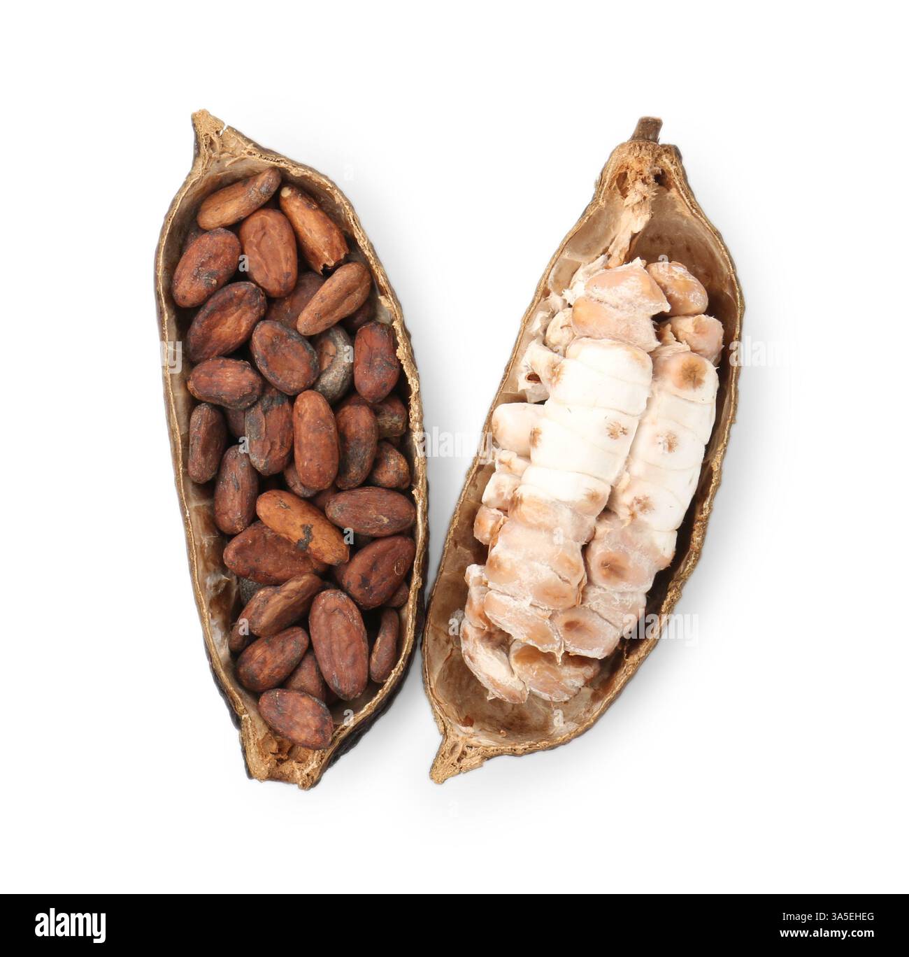 Gousses de cacao avec des fèves isolées sur blanc, vue de dessus Banque D'Images