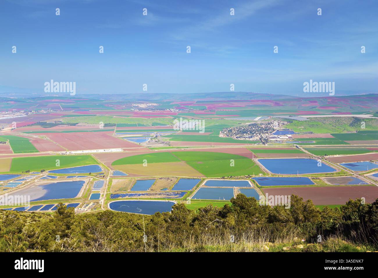 Vallée de Jezreel dans la Basse Galilée, Israël. Hiver chaud en israël. Des champs agricoles pittoresques couvrent toute la vallée Banque D'Images