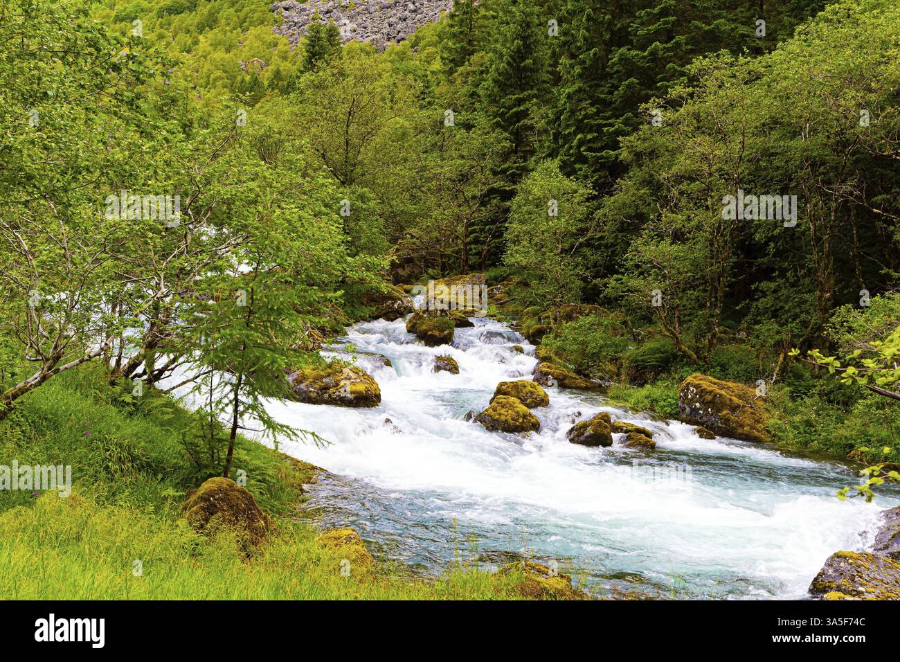 Ruisseau de montagne bouillonnante d'eau froide s'écoulant du lac Bondhuswatnet. Norvège. Voyage dans le fabuleux pays du nord en été. Emerald gr Banque D'Images
