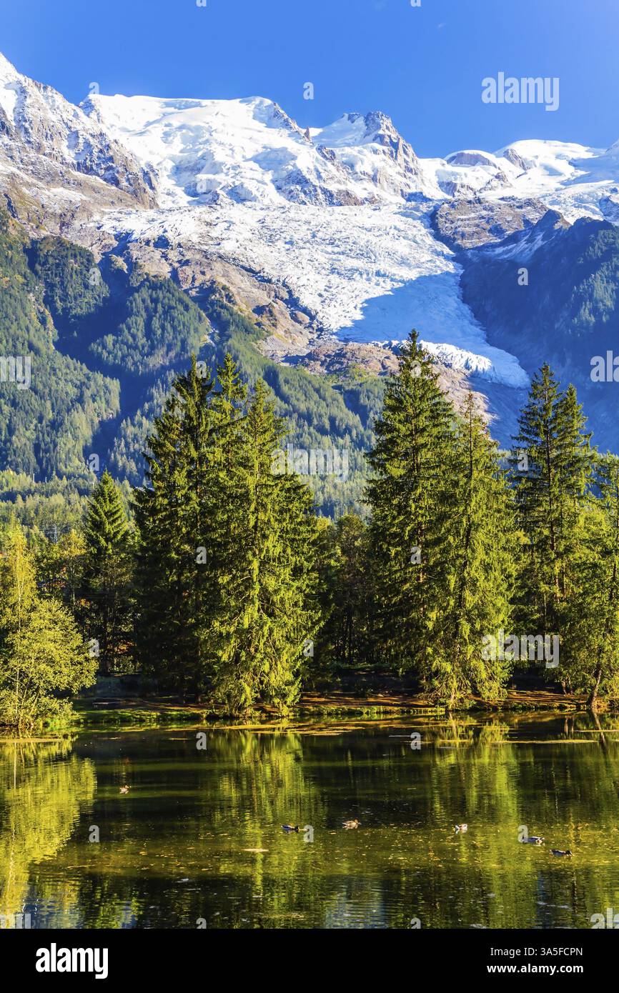 Ville - le parc est illuminé par le coucher du soleil. Le lac reflétait l'épinette à feuilles persistantes et les Alpes enneigées. La station de montagne de Chamonix, haute-Savoie. Banque D'Images