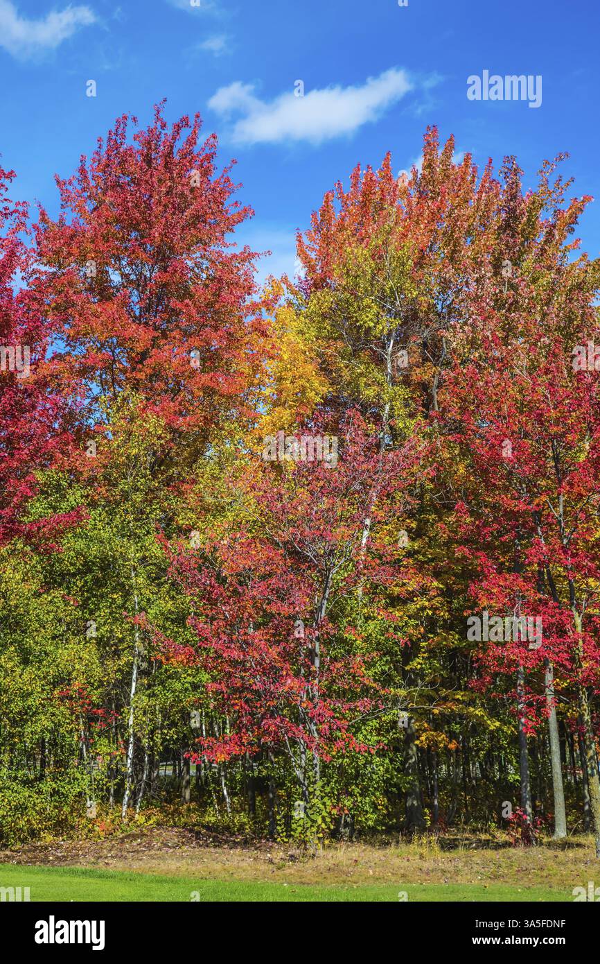 Chaude journée ensoleillée à la périphérie de Montréal. Automne doré au Canada français. Le concept de tourisme automobile Banque D'Images