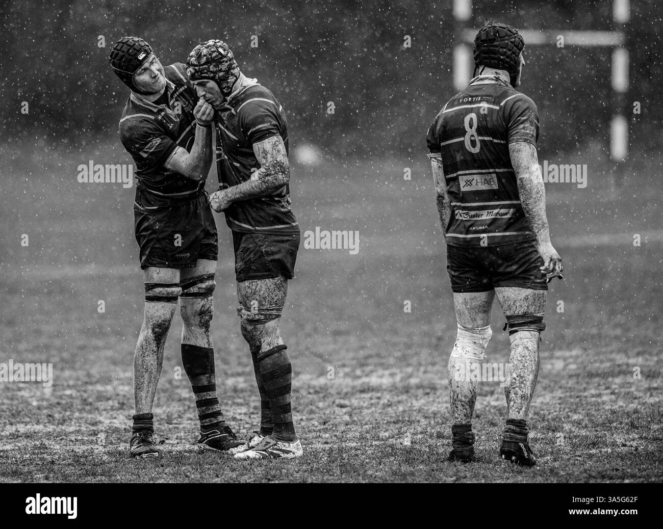 Jeu amateur de rugby pour homme joué par temps humide et boueux. Banque D'Images