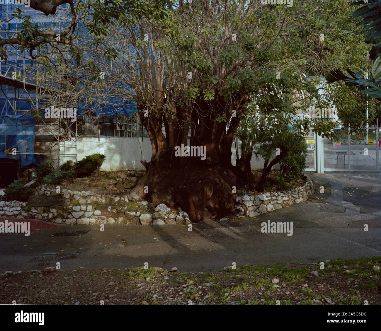 Copyright 2025 John Angerson L'opération Flavius a eu lieu à Gibraltar le 6 mars 1988, près de la station-service Shell sur Winston Churchill Avenue, a Banque D'Images