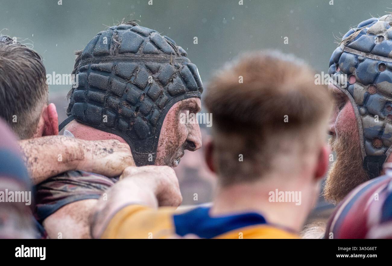 Homme amateur Rugby Union jeu joué dans le temps humide et boueux et obtenir pour une mêlée. Banque D'Images