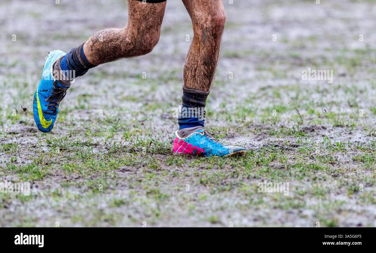Jeu amateur de rugby pour homme joué par temps humide et boueux. Banque D'Images