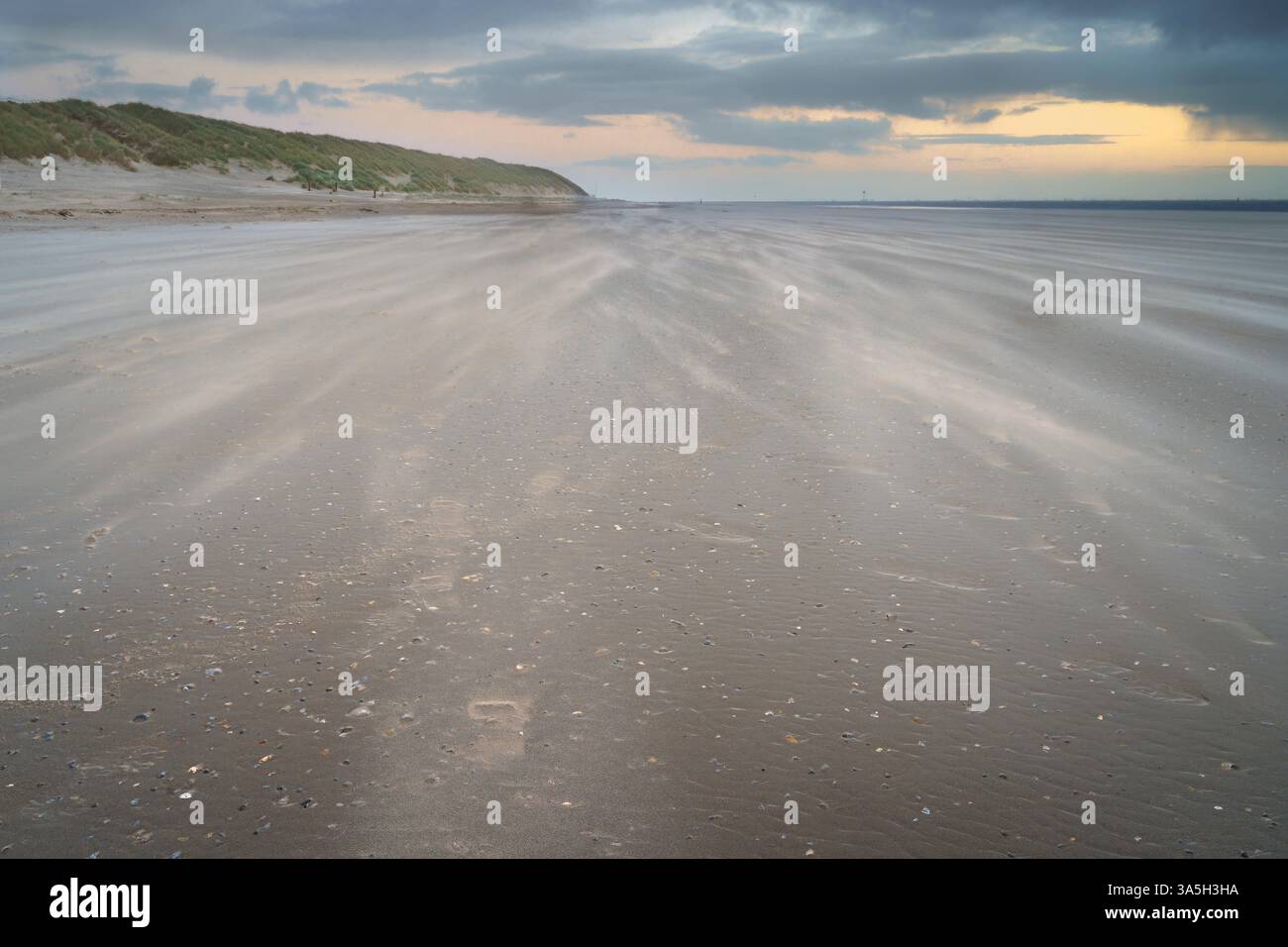 Plage vide avec du sable dérivant du vent fort sur une île hollandaise de Wadden appelée : Ameland Banque D'Images