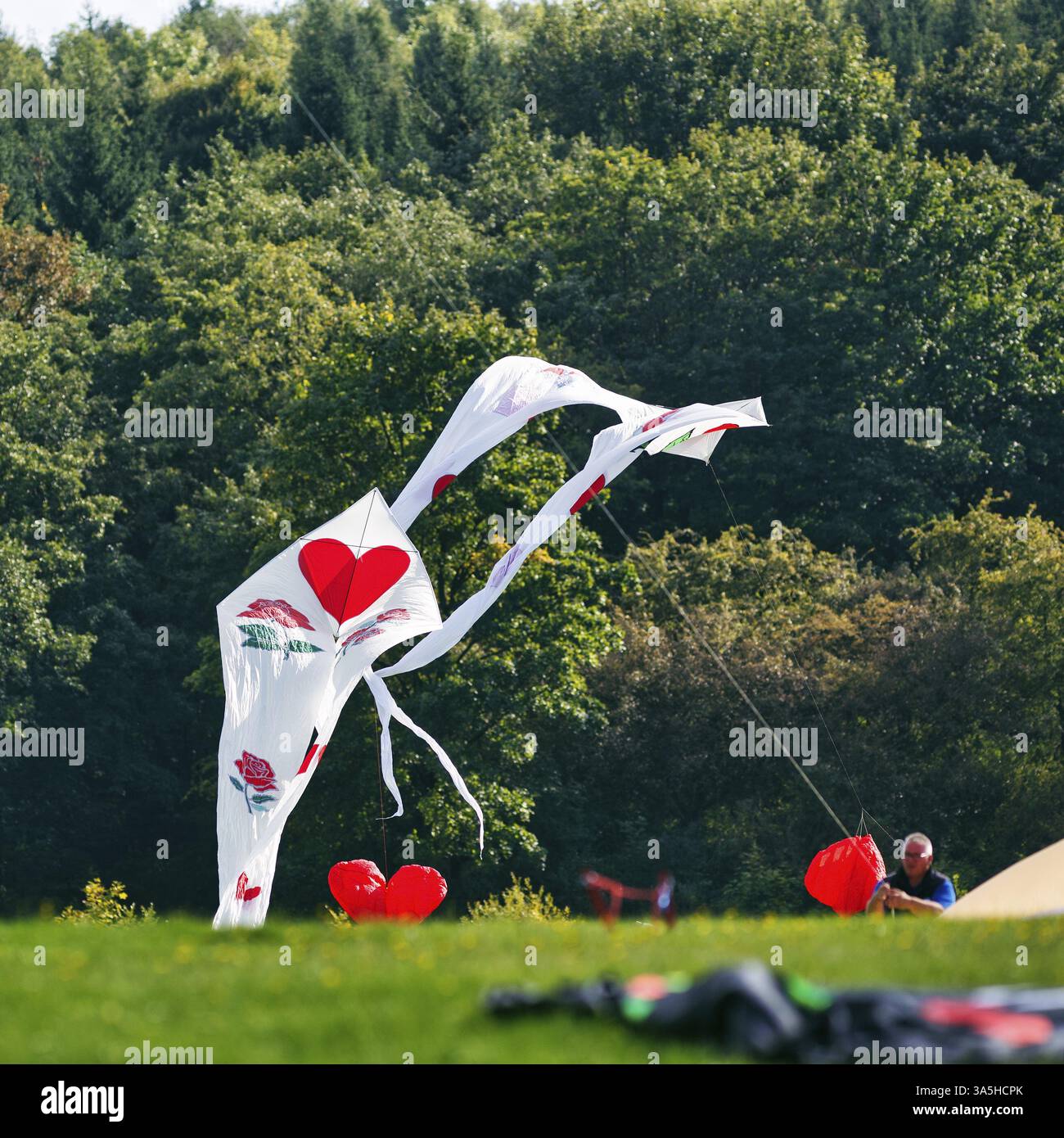 Cerf-volant blanc, cœur rouge, festival de cerf-volant à Vinsebeck, Steinheim, parc naturel Eggebirge et sud de la forêt de Teutoburg, Weserbergland, Rhénanie du Nord-O. Banque D'Images