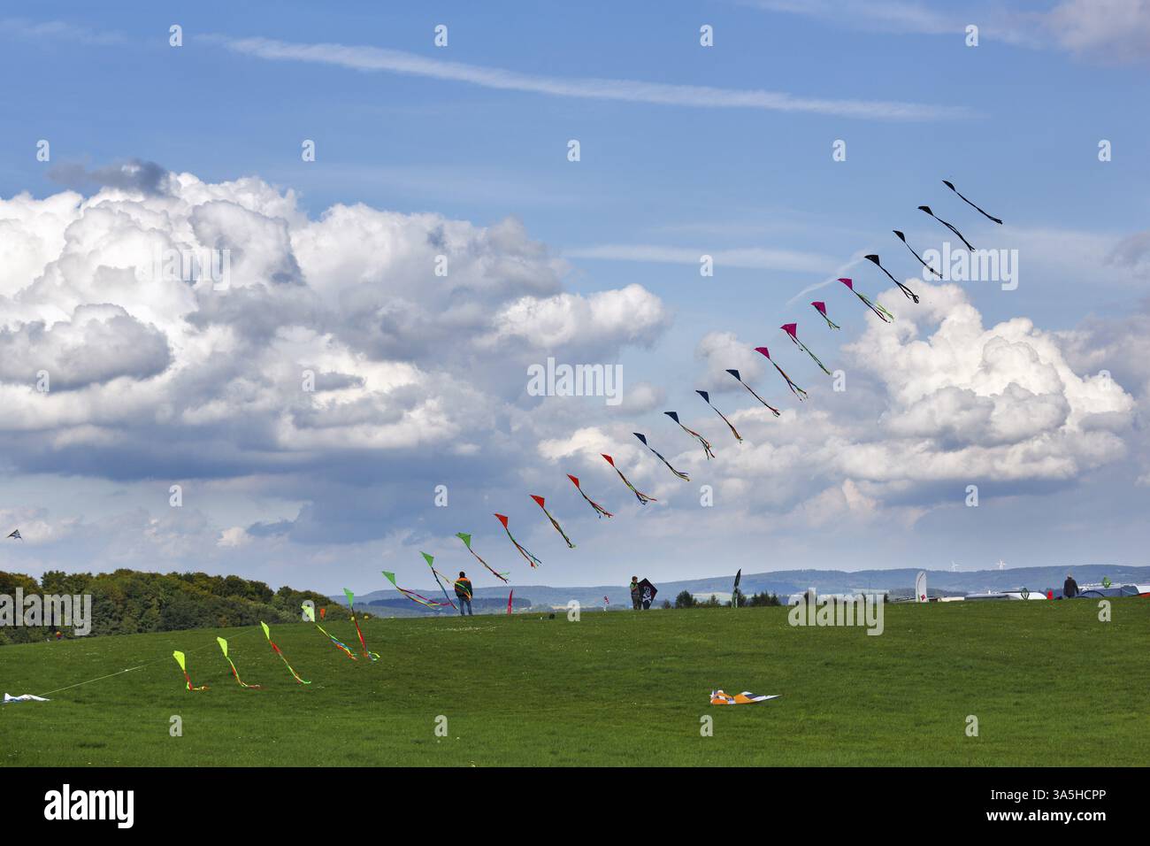 Cerfs-volants enfilés volant dans le ciel, guirlande, festival de cerf-volant à Vinsebeck, Steinheim, Eggebirge et parc naturel de la forêt du sud de Teutoburg, Weserbergl Banque D'Images