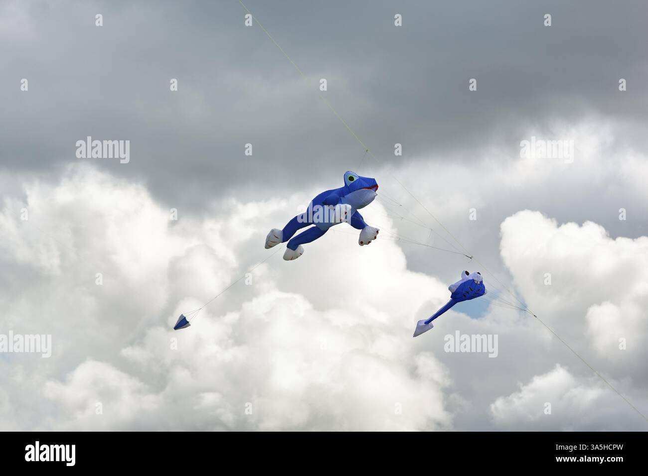Deux cerfs-volants volant devant les nuages de pluie, grenouille bleue et têtard, festival de cerf-volant à Vinsebeck, Steinheim, parc naturel Eggebirge et sud de Teut Banque D'Images