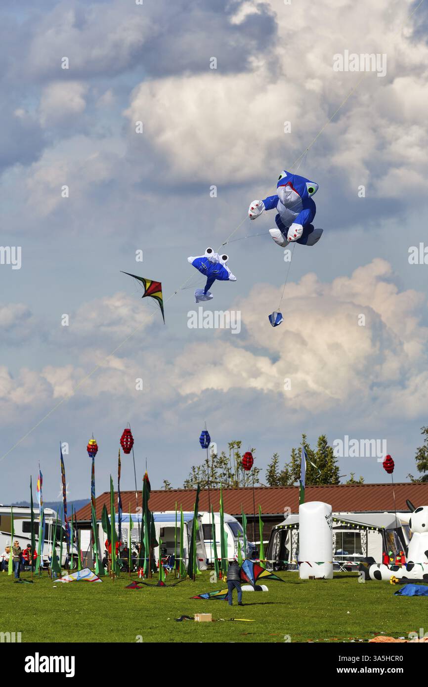 Cerfs-volants volant dans le ciel, grenouille bleue et têtard, mobil-homes au festival du cerf-volant à Vinsebeck, Steinheim, parc naturel Eggebirge et sud T Banque D'Images
