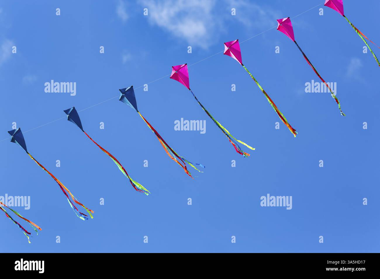 Cerfs-volants enfilés volant dans le ciel bleu, guirlande, festival de cerf-volant à Vinsebeck, Steinheim, Eggebirge et parc naturel de la forêt du sud de Teutoburg, Weser Banque D'Images