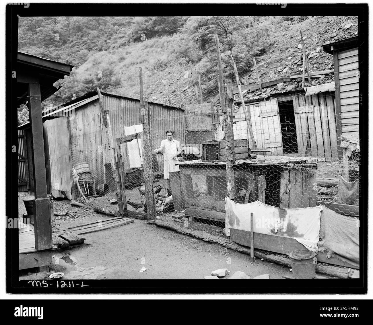 Dans la communauté entourant la mine Exeter de la Kingston Pocahontas Coal Company à Welch, en Virginie-occidentale, la plupart des familles gardent des poulets et des porcs et entretiennent des jardins, reflétant un mélange de mode de vie minier et agricole. Banque D'Images
