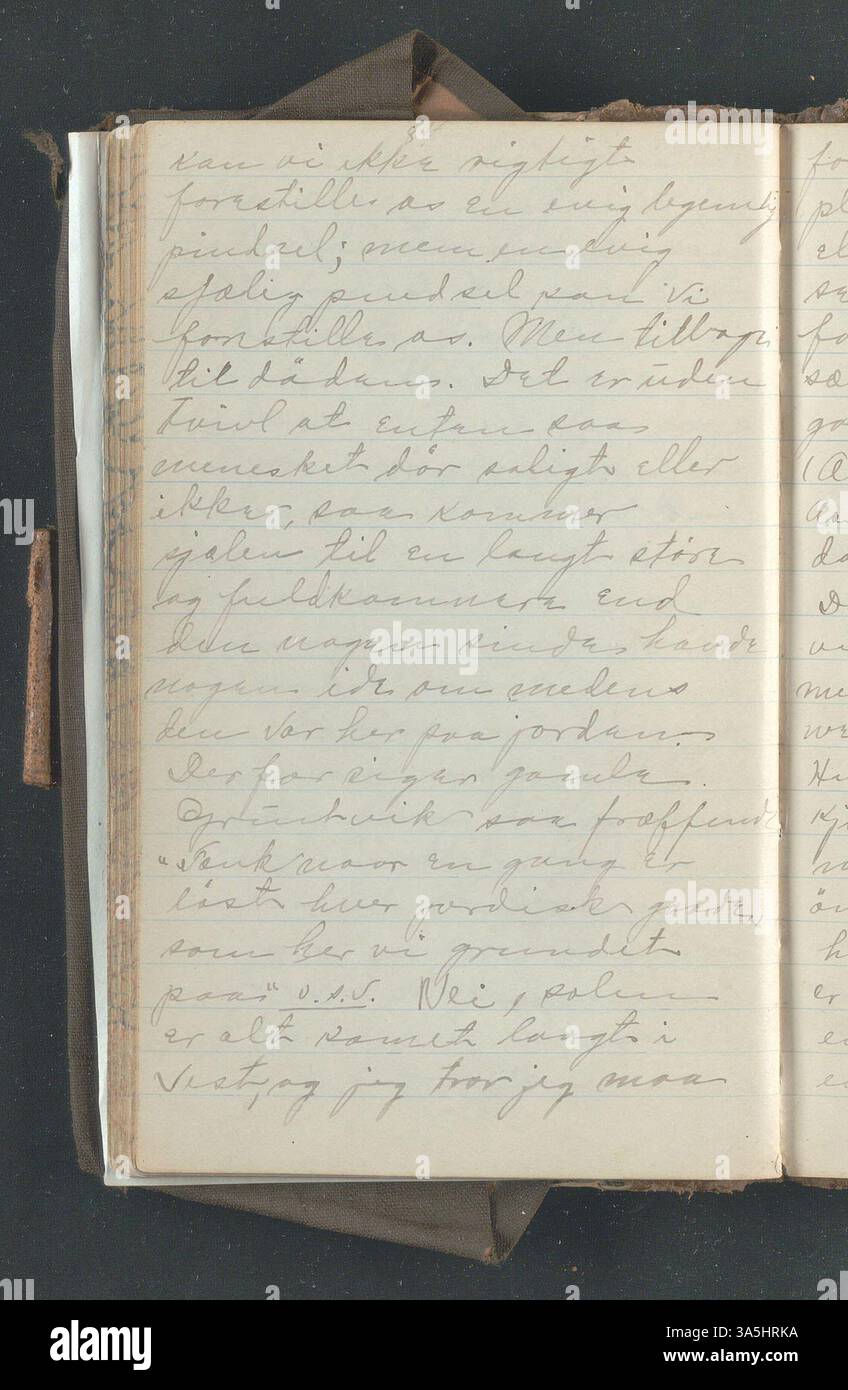 Le journal de 1896 d'OLE E. Rølvaag fournit un compte rendu de première main de son voyage de Donna, en Norvège, aux États-Unis, en réfléchissant à ses expériences et aux tendances plus larges de l'immigration de l'époque. Banque D'Images