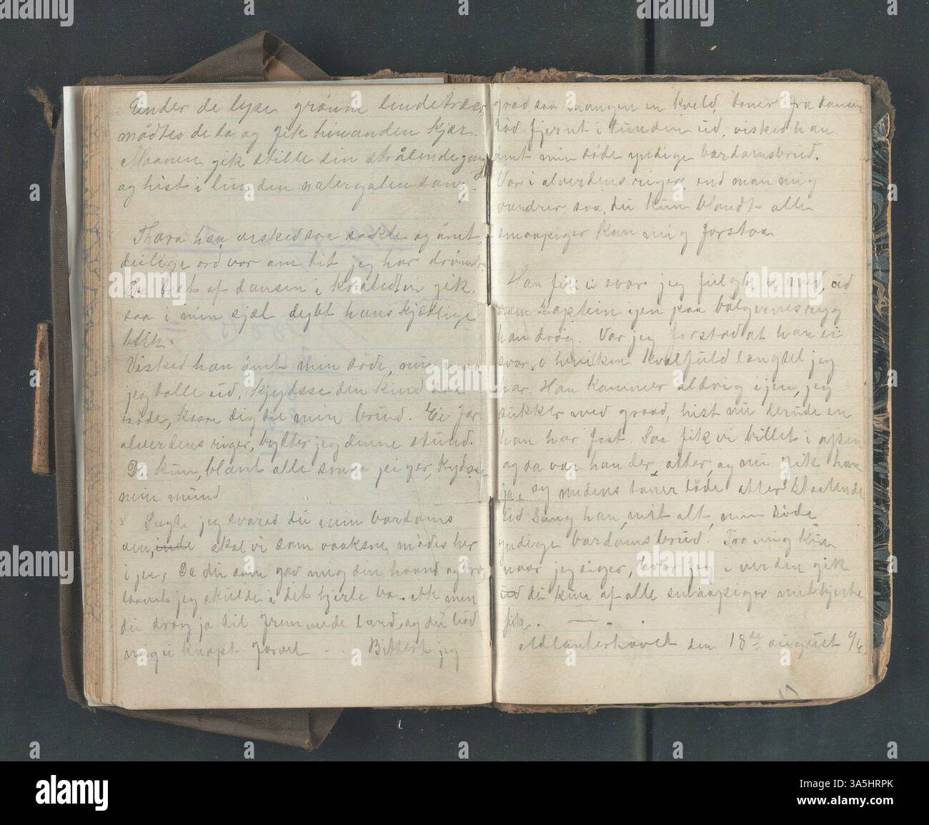 Le journal d’immigration d’Ole E. Rølvaag en 1896 décrit son départ de Donna, en Norvège, et sa migration vers les États-Unis, capturant les épreuves et les espoirs des immigrants norvégiens de cette époque. Banque D'Images
