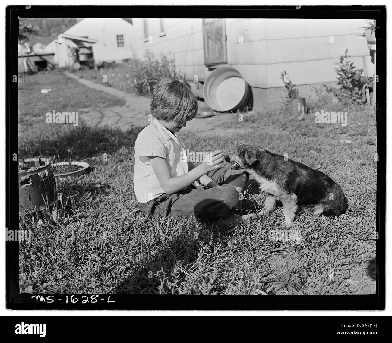 Un enfant d'un mineur joue avec un chien sur la pelouse d'un projet de logement d'entreprise près de la mine de Kopperston de Koppers Coal Division dans le comté de Wyoming, en Virginie-occidentale. Banque D'Images