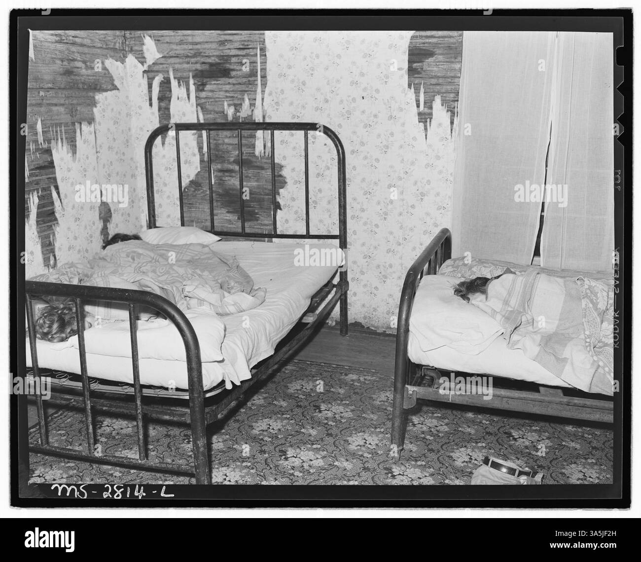 La chambre des enfants dans la maison de quatre pièces de la famille Blaine Sergent près de la mine Clover Gap de P.V. & K. Coal Company dans le comté de Harlan, Kentucky, où trois enfants partagent un lit. Banque D'Images