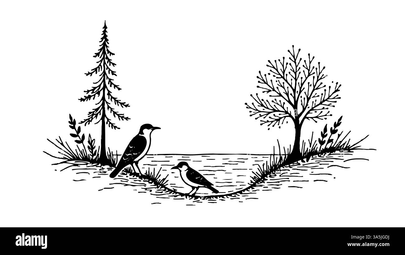 Oiseaux près de l'eau et arbres. Ligne d'encre noire de scène nature Tirages d'aventures animalières écotouristiques. Vecteur de fond blanc de style minimaliste Illustration de Vecteur