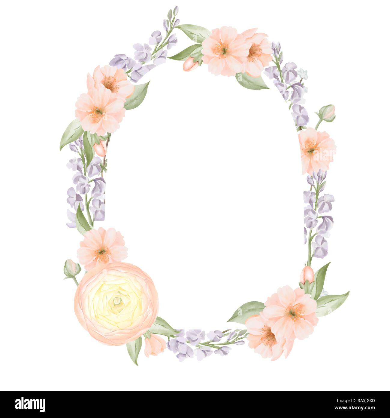 Cadre floral printanier, en forme d'arc, bordure de Ranunculus et pêche ou cerise, fleurs de Sakura, branches de Freesia. Aquarelle peinte à la main botanique Banque D'Images