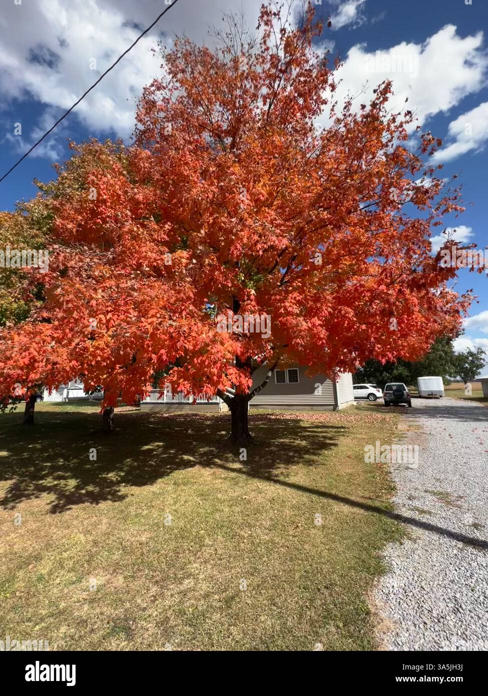 L'amour de la nature Banque D'Images