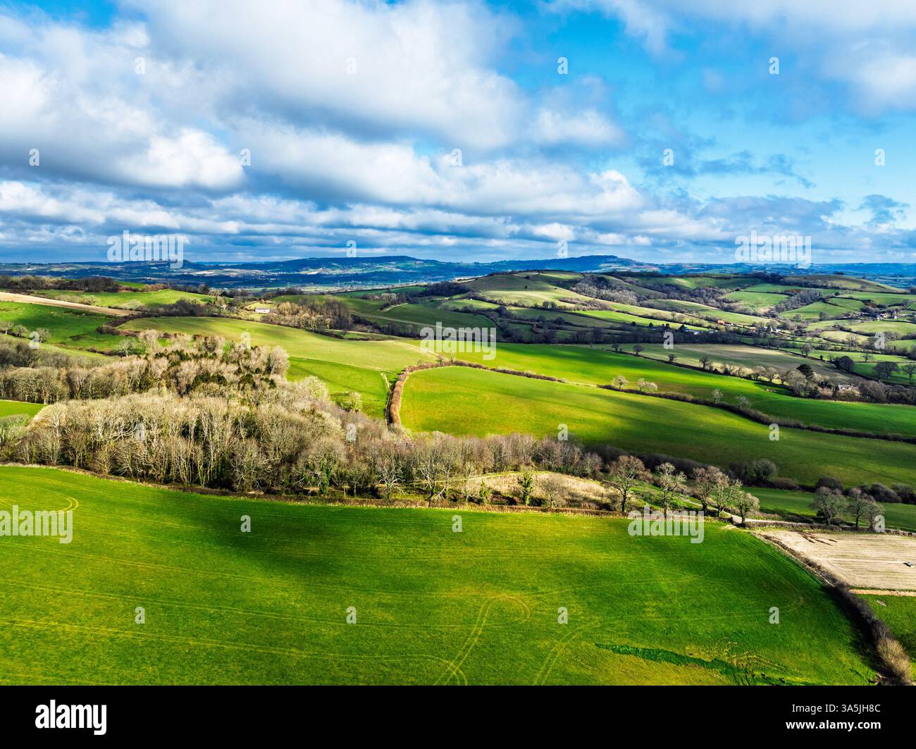 Fermes sur la route A35 d'un drone, Morcombelake Village, Bridport, Dorset, Angleterre Banque D'Images