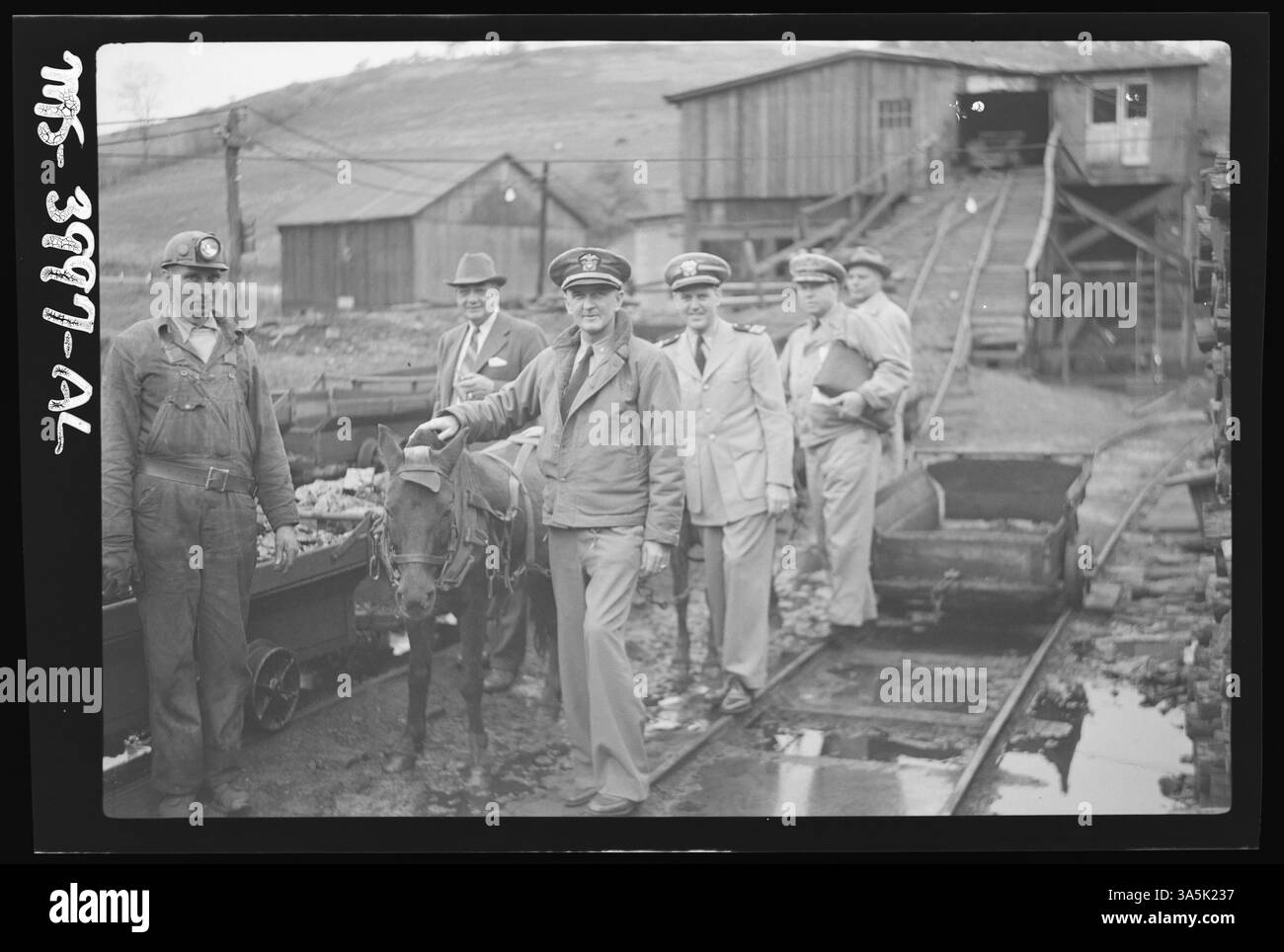 Les poneys sont utilisés pour tirer le charbon à travers les mines de S. C. Streams Black Diamond mine à Creekside, dans le comté d'Indiana, en Pennsylvanie. La photo capture une pratique courante dans les communautés minières de charbon. Banque D'Images