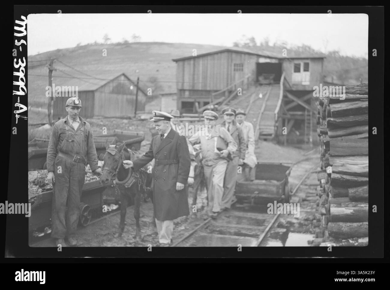 Cette image montre des poneys utilisés pour tirer du charbon à travers les mines de la mine S.C. Streams Black Diamond à Creekside, dans le comté d'Indiana, en Pennsylvanie, mettant en évidence les méthodes animales dans les premières mines de charbon. Banque D'Images