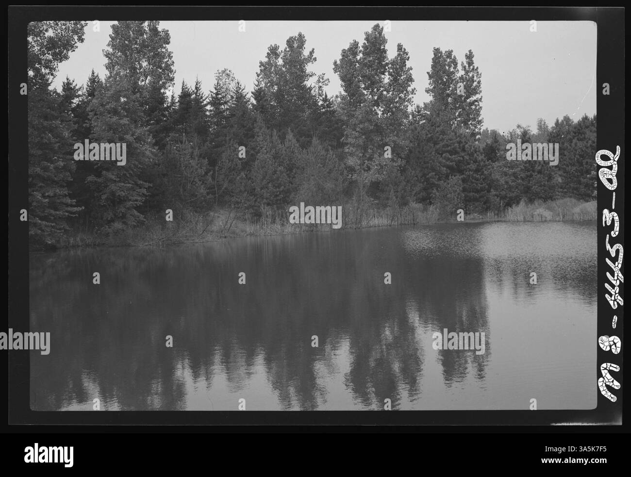 Un lac artificiel près de Harrisburg, comté de Saline, Illinois, est montré sur cette photographie de 1946. Le lac a été créé dans le cadre d'une exploitation minière à ciel ouvert dans la région. Banque D'Images