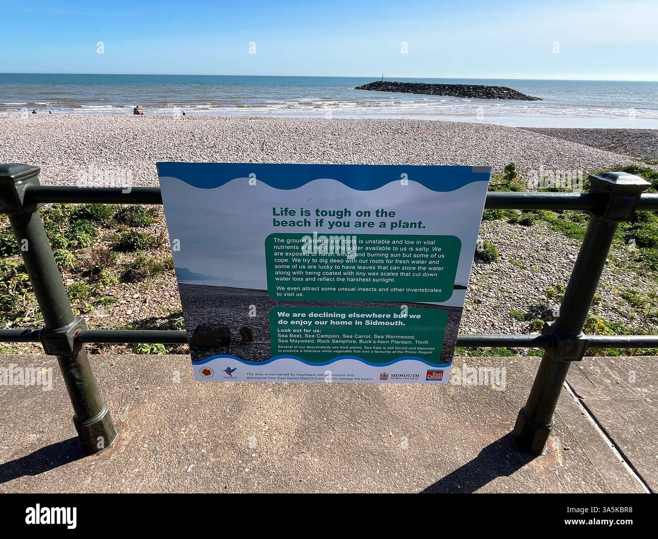 Sidmouth dans Devon Banque D'Images