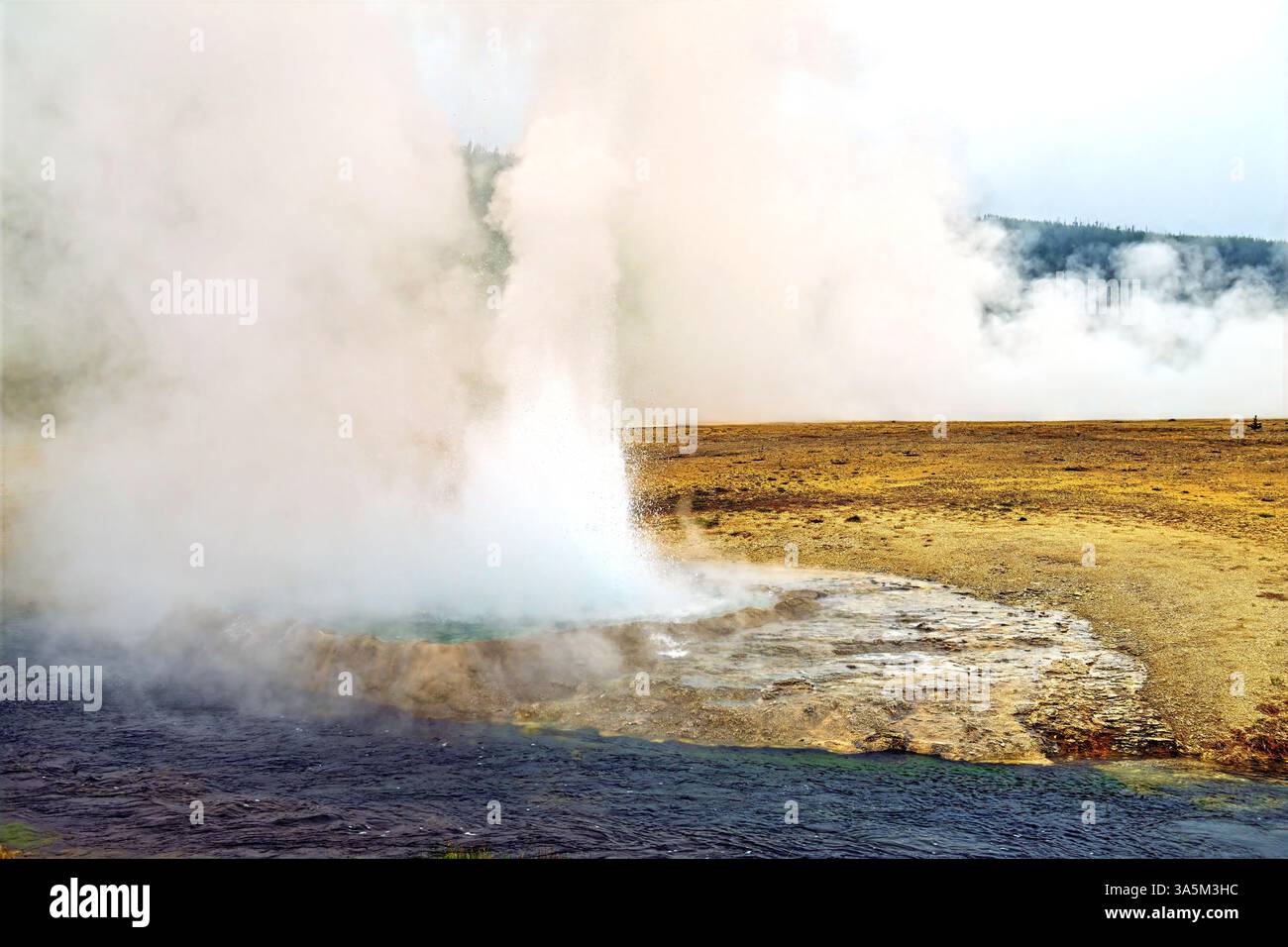 Cliff Geyser en éruption dans un paysage volcanique dans le parc national de Yellowstone dans le Wyoming Banque D'Images
