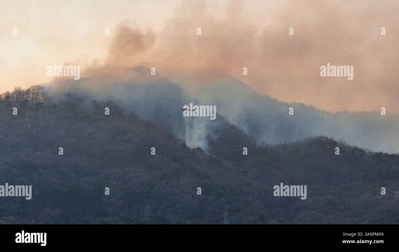 (250324) -- BEIJING, 24 mars 2025 (Xinhua) -- Un hélicoptère effectue une mission de lutte contre les incendies dans la province de Gyeongsang du Sud, Corée du Sud, le 22 mars 2025. Le gouvernement sud-coréen a déclaré l'état de catastrophe samedi suite aux incendies de forêt qui ont éclaté dans les régions du sud-est du pays, y compris la ville d'Ulsan, la province de Gyeongsang du Nord et la province de Gyeongsang du Sud, a déclaré le ministère de l'intérieur et de la sécurité. (NEWSIS via Xinhua) Banque D'Images
