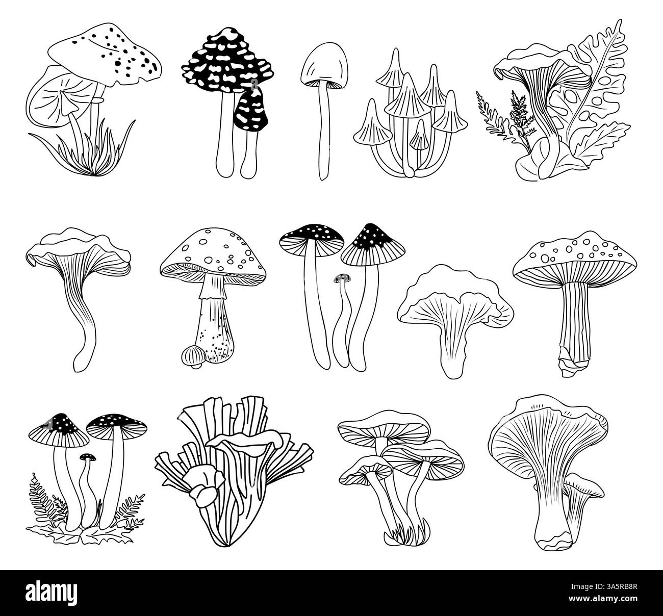 Ensemble de vecteur dessiné à la main par champignon forestier différent Illustration de Vecteur
