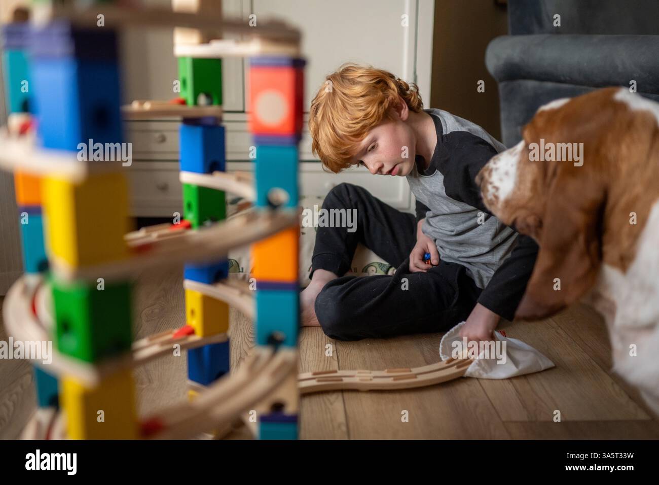 Garçon de 7-8 ans construit un jouet de marche en marbre en bois avec un chien Banque D'Images