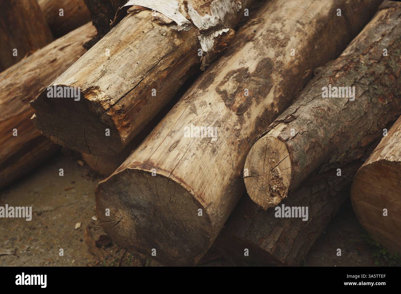 Registres de bois de chauffage empilés – fond de bois rustique. Pile de bûches de bois de chauffage rustiques avec des textures naturelles et de l'écorce rugueuse Banque D'Images