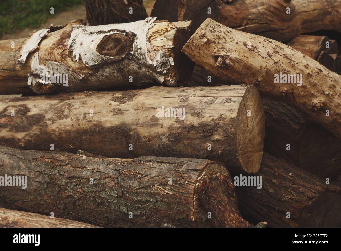 Registres de bois de chauffage empilés – fond de bois rustique. Pile de bûches de bois de chauffage rustiques avec des textures naturelles et de l'écorce rugueuse Banque D'Images