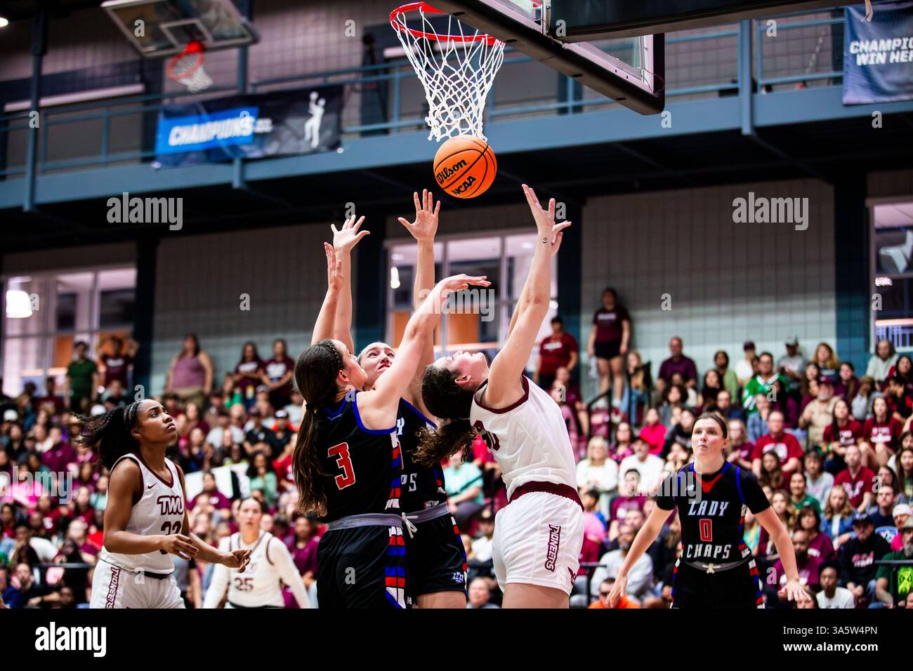 Lubbock Christian University basket-ball féminin en action contre Texas Woman's University dans le championnat régional du Centre Sud de la NCAA Division II. Banque D'Images