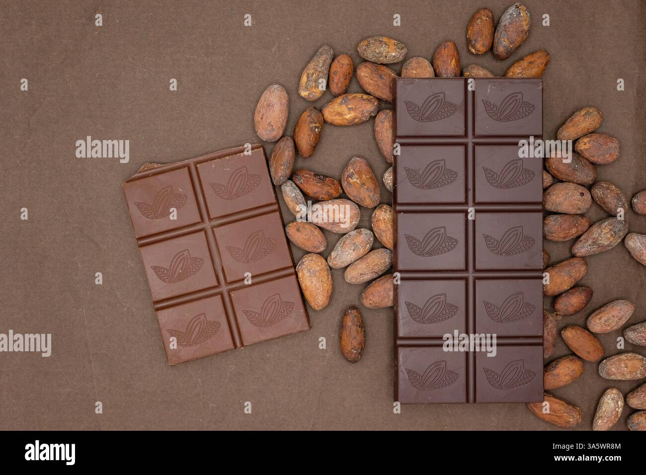 Deux types de barres chocolatées. Production de chocolat en grains. Différentes variétés de fèves de cacao. Production de cacao agriculture durable. Copier l'espace. Banque D'Images