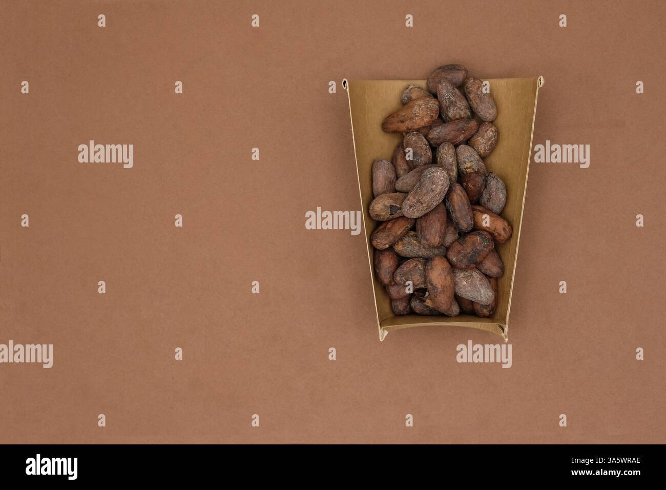 Fèves de cacao dans la tasse en papier à moitié jetable. Cacao durable. Boisson au cacao. Fond de papier de soie de couleur chocolat. Copier l'espace. Banque D'Images