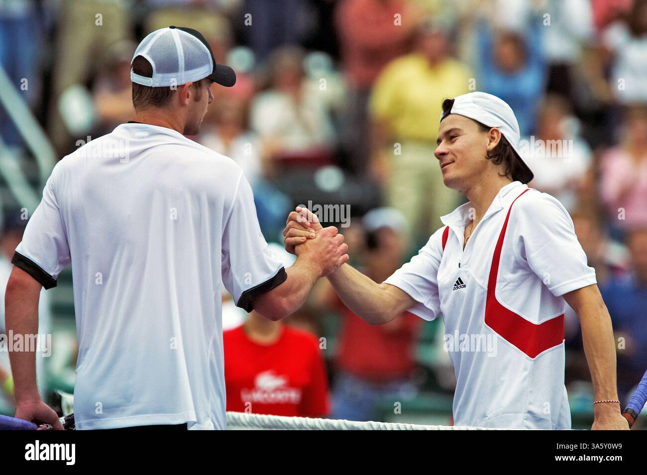 19 novembre 2004 ; Houston, TX, États-Unis ; Andy Roddick (États-Unis) et GUILLERMO CORIA (ARG) se rencontrent au filet après que Roddick ait battu Coria 7-6 (4), 6-3 pour clore le tournoi à la ronde de la Masters Cup 2004 avec un record de 3-0. Banque D'Images