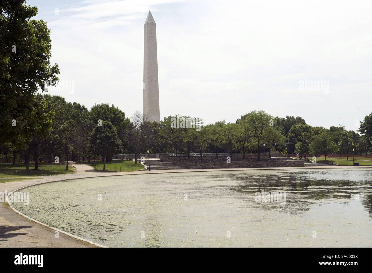26 juin 2008 - des algues et des débris remplissent l'étang de Constitution Gardens au pied du Washington Monument sur le National Mall à Washington, D.. C, 26 juin 2008. Le National Mall, qui attire plus de 20 millions de visiteurs chaque année, est une honte, a déclaré au Congrès l'un de ses principaux partisans. Il a un arriéré de 350 millions de dollars de travaux non terminés et pourrait avoir besoin d'une rénovation de 500 $. (Rafael Suanes/MCT) (crédit image : © Rafael Suanes/MCT/ZUMAPRESS.com) Banque D'Images