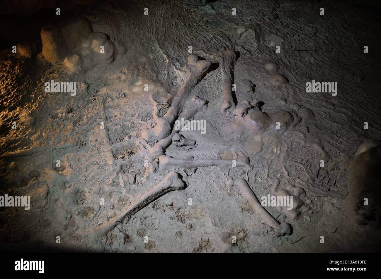 Des os humains trouvés à l'intérieur de la grotte de Kapsia, en Arkadia, en Grèce Banque D'Images