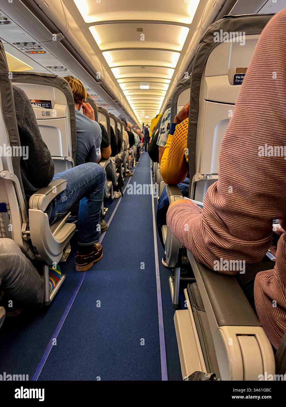 Passagers d'avion assis dans un avion . Banque D'Images
