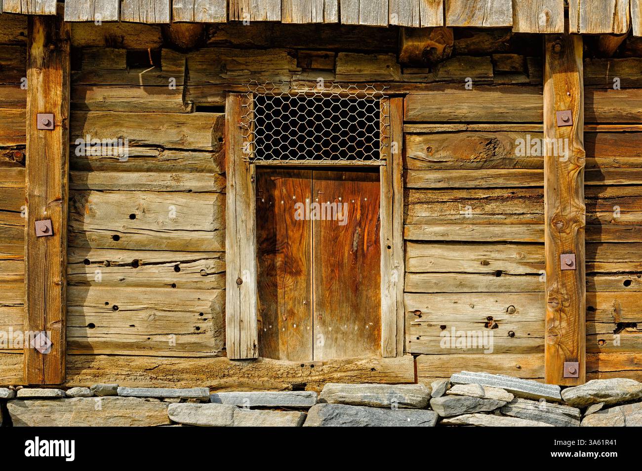 Une porte de cabine en bois vieilli se dresse dans un bâtiment rustique, mettant en valeur l'âge et l'artisanat dans une zone boisée paisible. Banque D'Images